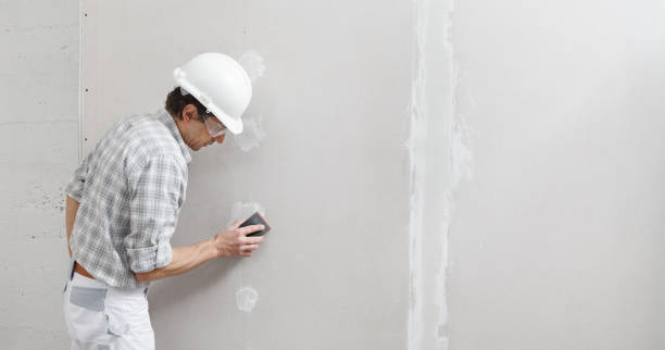 Best Water-Damaged Drywall Repair  in Brockport, NY